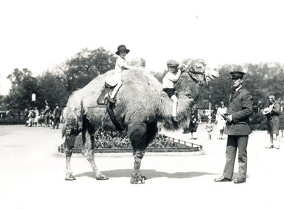 A camel ride at ZSL London Zoo, September 1928 by Frederick William Bond